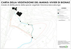 Area di distribuzione della specie vegetale Veronica beccabunga